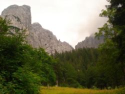 Regina-F-Rau_2013-08-13_Frohkostgipfel  (064).JPG